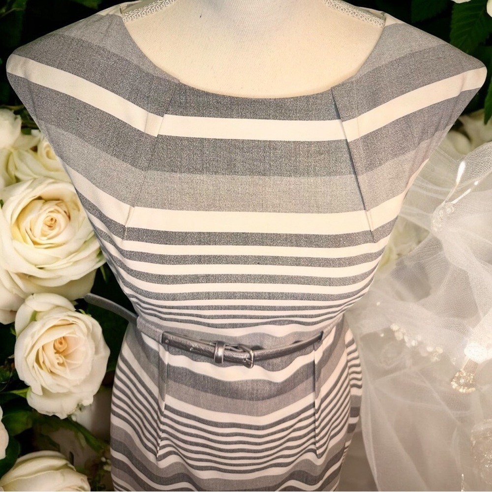Calvin Klein Gray Striped Pintucked Sheath Dress With Silver Belt Size 6 - Picture 6 of 16